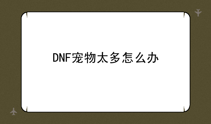 DNF宠物太多怎么办