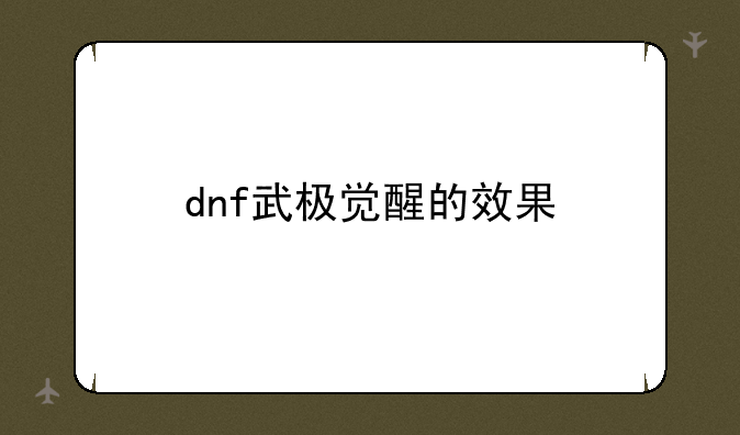 dnf武极觉醒的效果