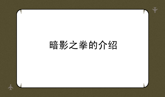 暗影之拳的介绍