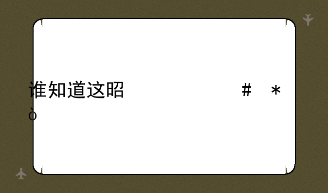 谁知道这是什么动漫